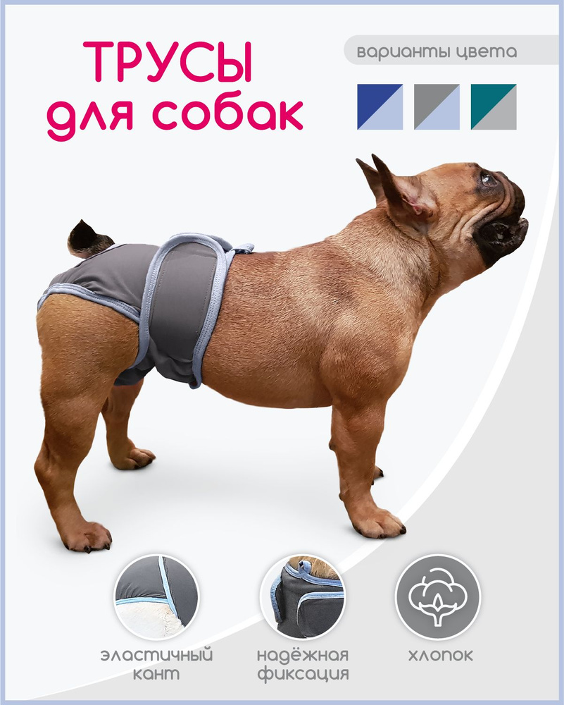 Трусы для собак во время течки многоразовые Ночка - купить с доставкой по  выгодным ценам в интернет-магазине OZON (240560399)