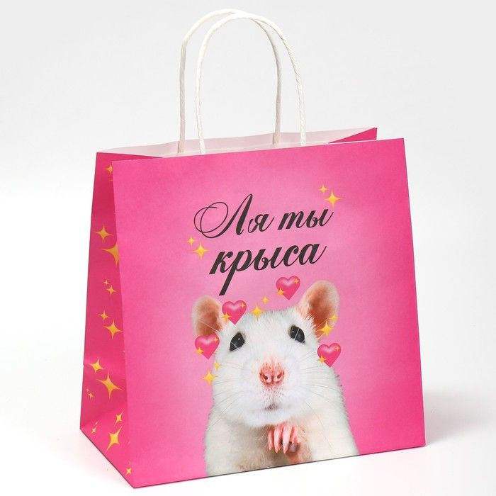 Пакет подарочный, упаковка, Ля ты , 22 22 11 см #1
