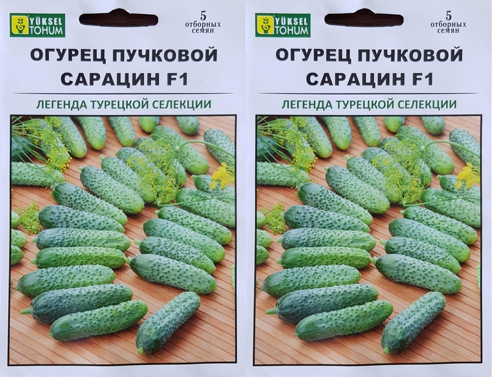 Огурцы огурец сарацин, 2шт - купить по выгодным ценам в интернет ...