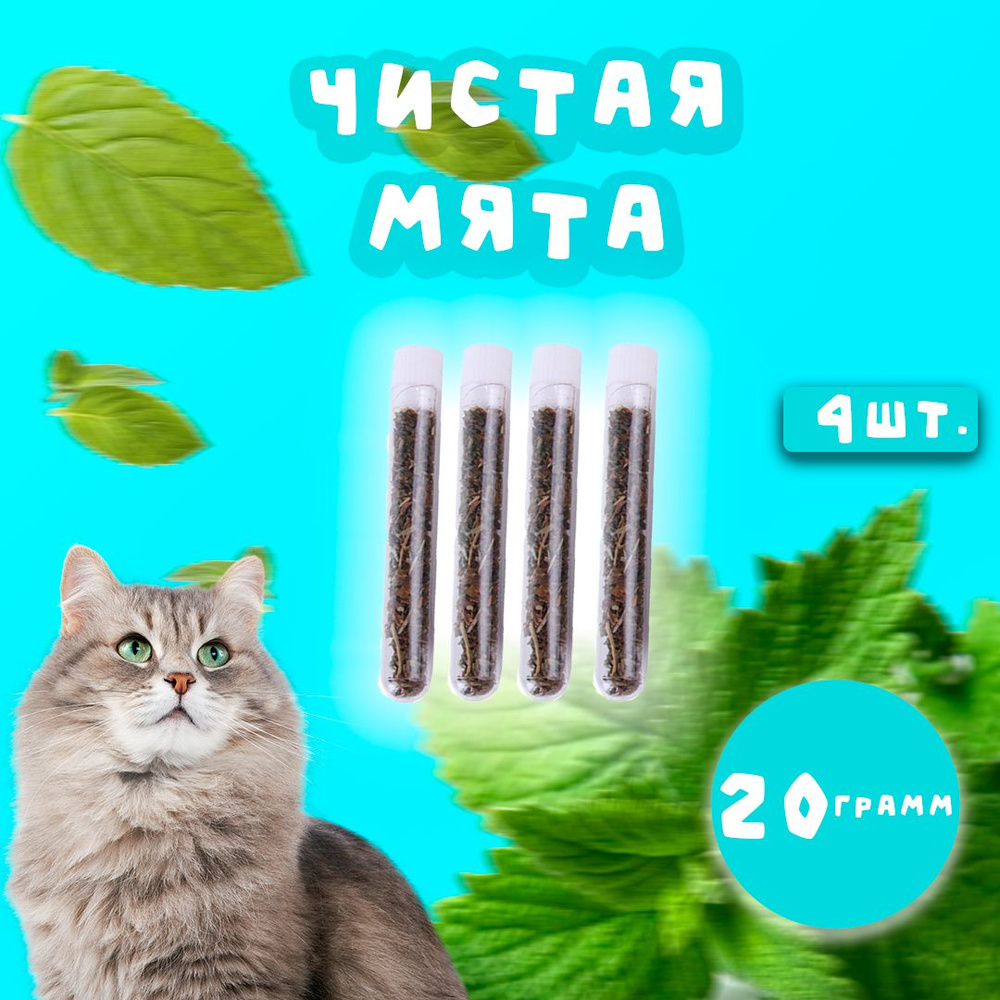 Игрушка-лакомство кошачья мята для кошек WetNose 4 тубы / Лакомство для  котят и котов - купить с доставкой по выгодным ценам в интернет-магазине  OZON (698001484)