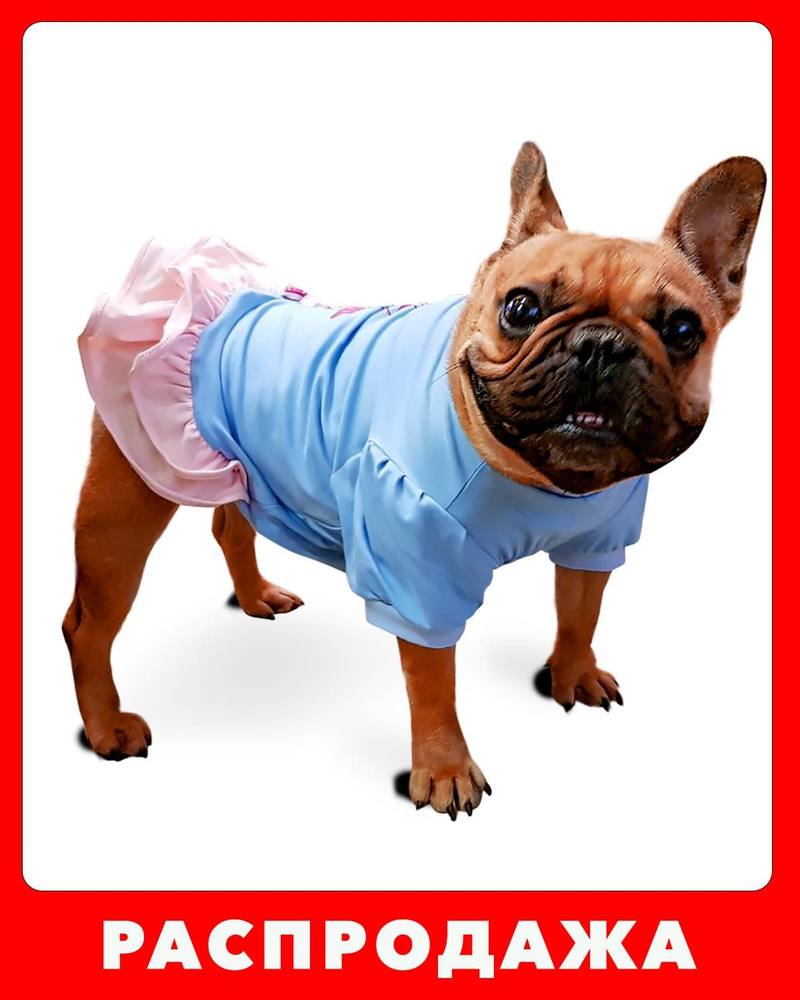 Одежда для собак | Одежда для питомца, Мода для собак, Одежда для собак