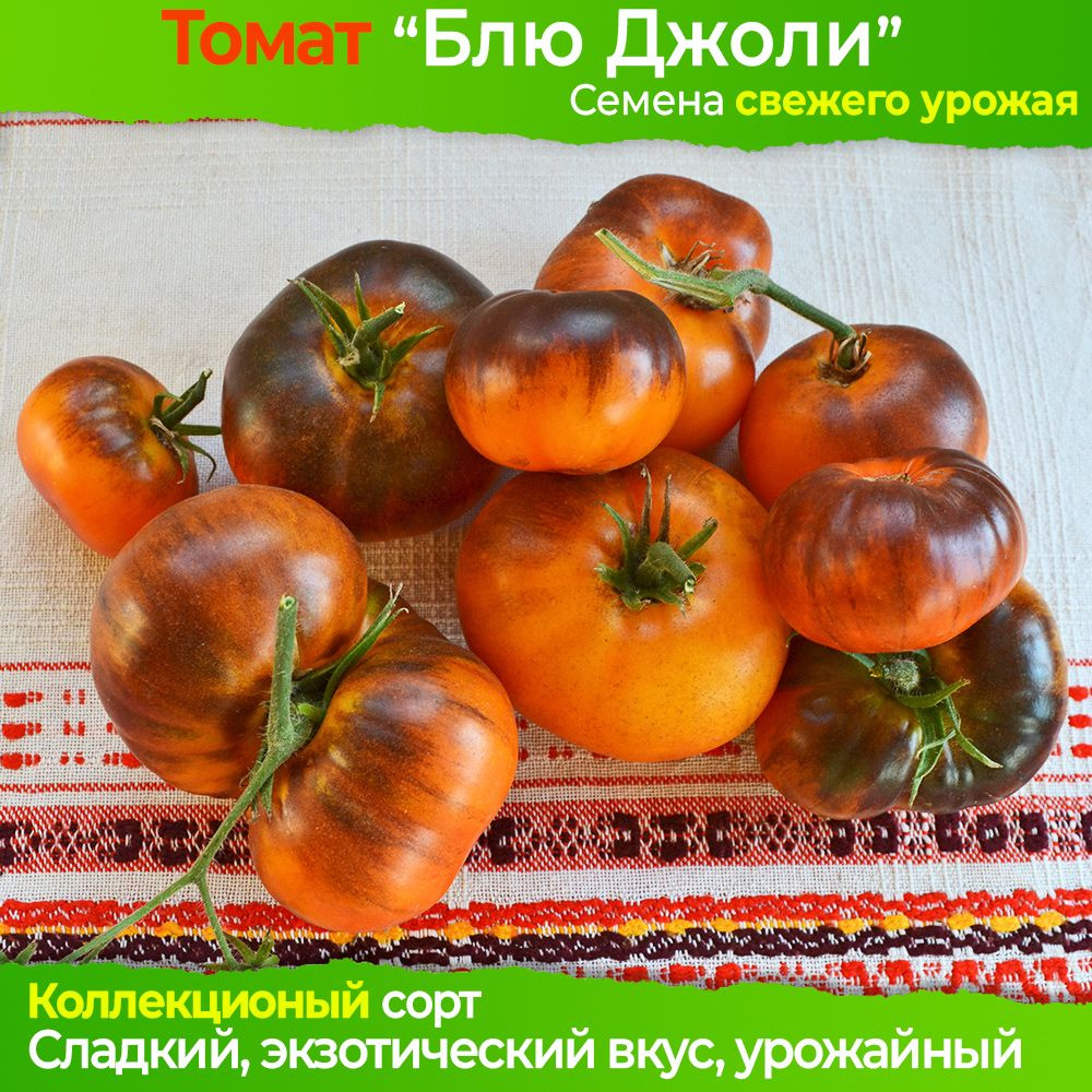 Семена томата Блю Джоли - коллекционный сорт #1