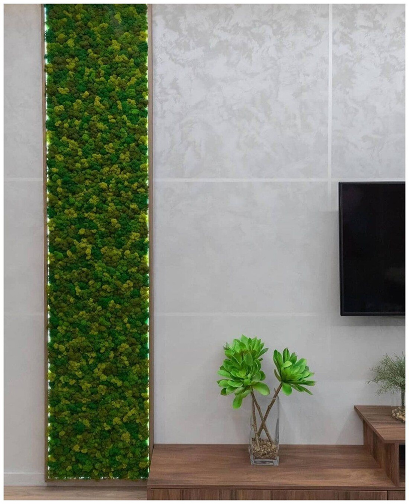 Панно из стабилизированного мха Ягель с подсветкой купить на OZON по ...