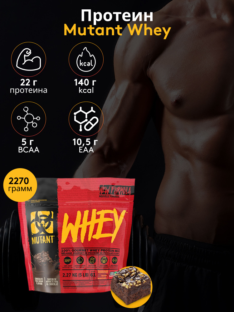 Протеин Mutant Whey 2270 гр Брауни с шоколадной помадкой - купить с ...