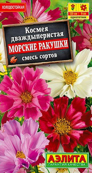 КОСМЕЯ МОРСКИЕ КАМУШКИ. Семена. Вес 0,3 гр. Популярное, очень декоративное растение с пышным, интенсивным #1