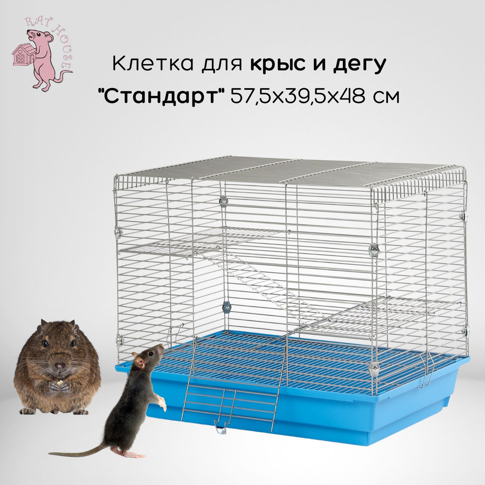 Rat House Клетка для Дегу и крыс 