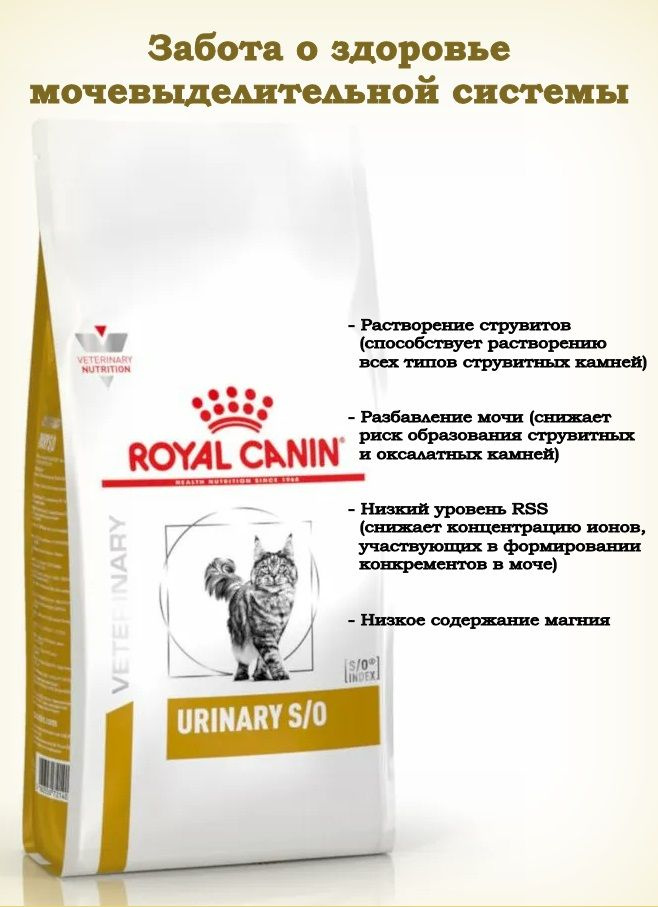 Royal canin urinary hot sale so lp 34