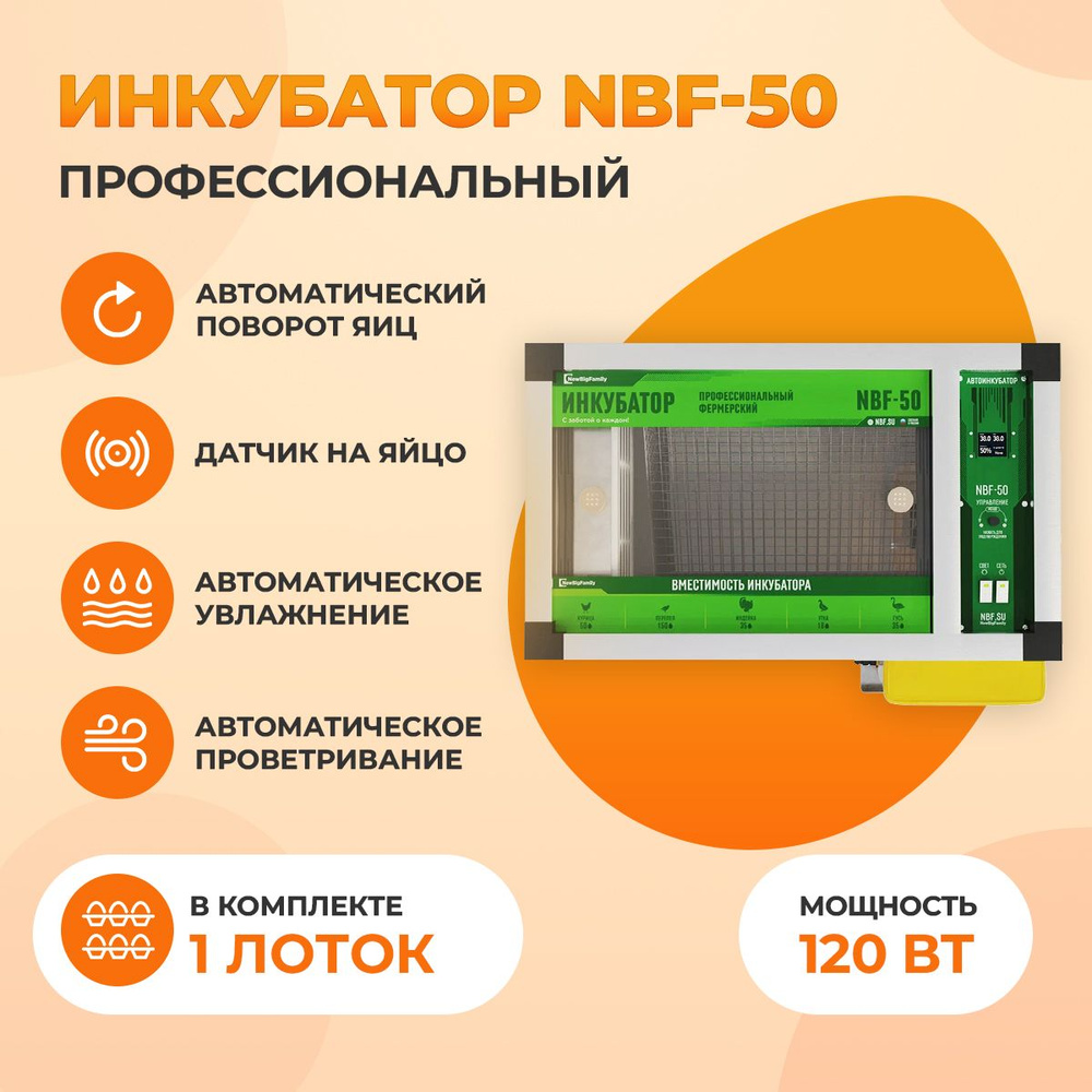 Инкубатор для яиц автоматический NBF, 50 яиц, 220В, автоповорот - купить с  доставкой по выгодным ценам в интернет-магазине OZON (840708384)