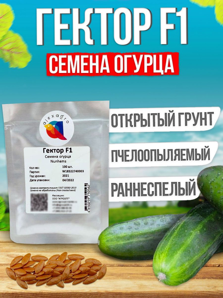 Гектор F1 семена огурца среднераннего, 100 шт. (Nunhems / ALEXAGRO). Высокоурожайный, пчелоопыляемый #1