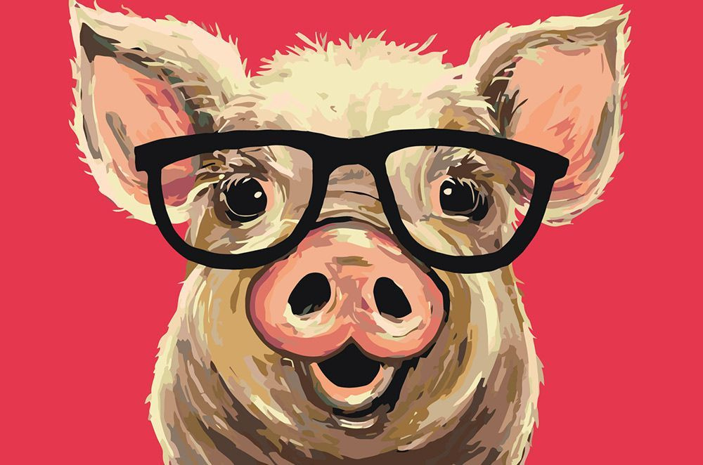 Смешные картинки про свиней (65 фото)