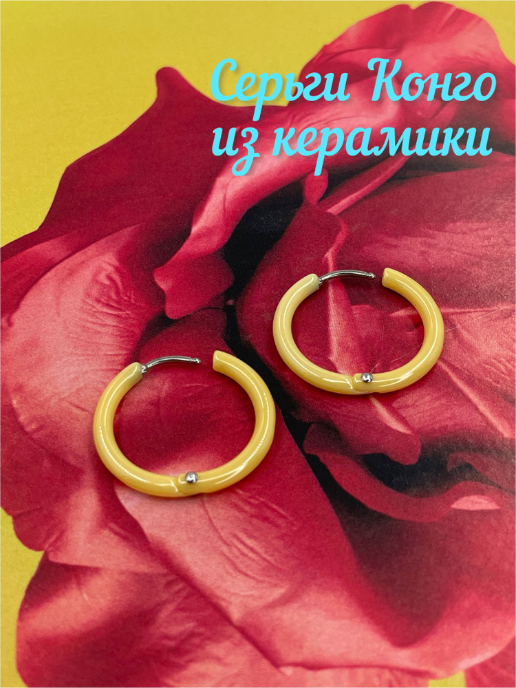 Silverich Серьги кольца #1
