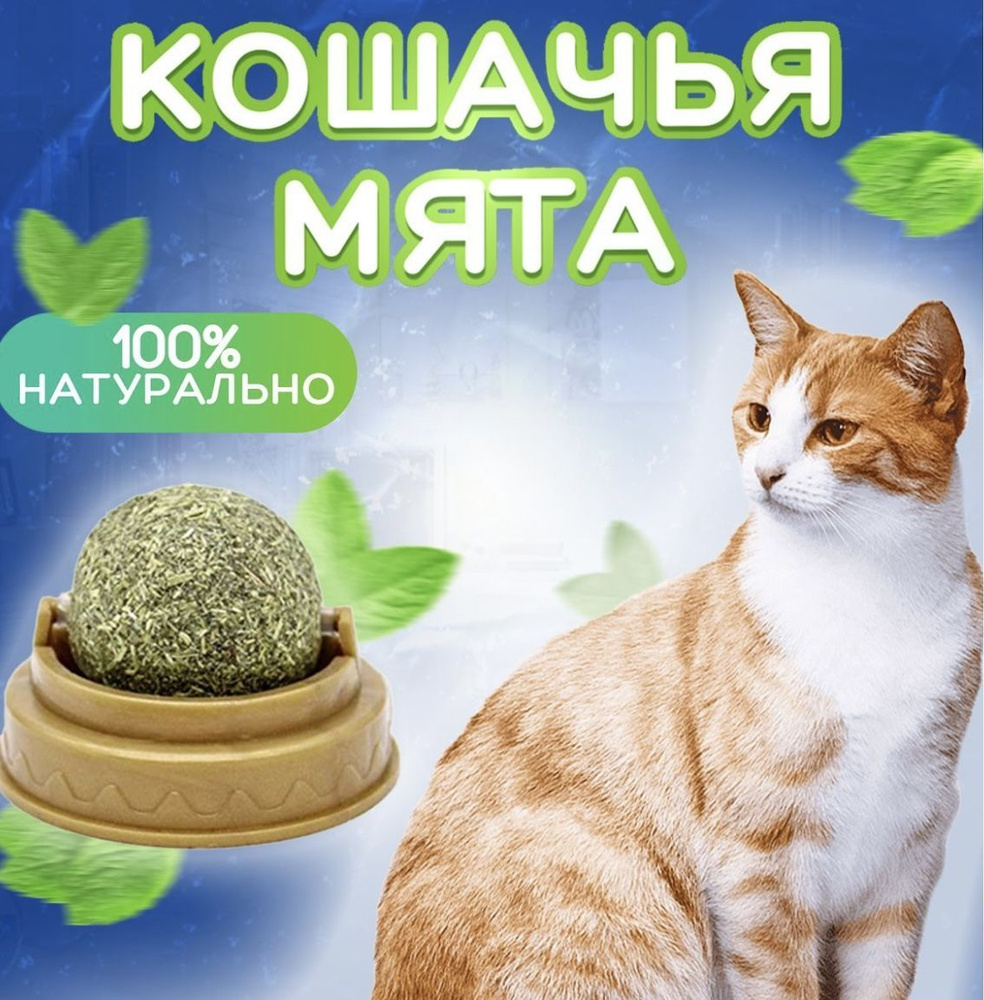 Кошачья мята / шарик для кошек, леденец, конфета с мятой для животных, с  успокоительным эффектом / игрушки для кошек - купить с доставкой по  выгодным ценам в интернет-магазине OZON (831116725)