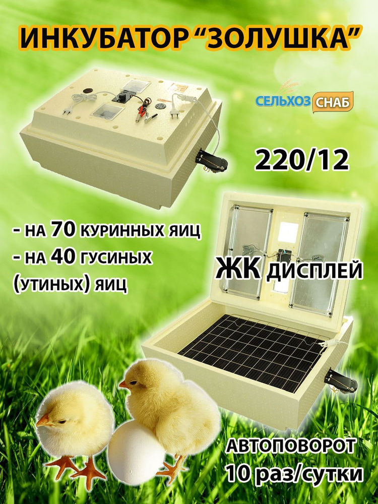 Автоматический инкубатор "Золушка" 70 яиц, 220В/12В — купить в интернет ...