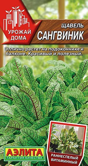 Щавель "Сангвиник" Семена Аэлита для балкона, подоконника и огорода 0,05 гр  #1