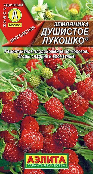 семена Земляники круглогодичной для балкона, подоконника и открытого грунта, 0.04 гр.  #1