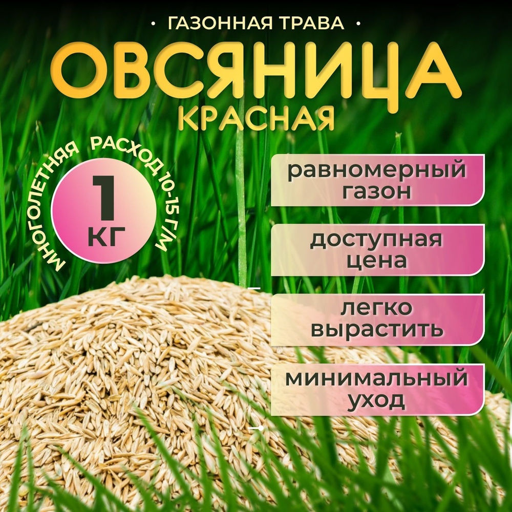 Овсяница красная семена 1 кг Газонная трава Спортивный газон Maxima Для  детских площадок