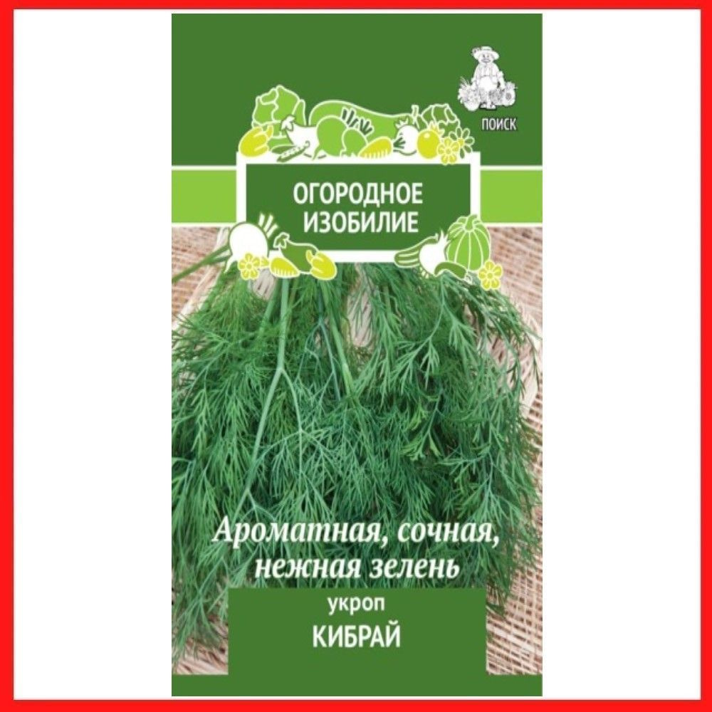 Семена Укроп "Кибрай", 3 гр, пряности и зелень, для дома, дачи и огорода, в открытый грунт, в контейнер. #1