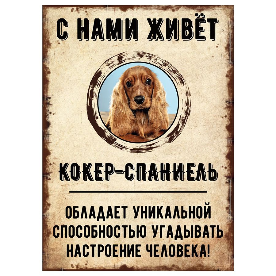 Табличка, декоративная, DANGER DOG, С нами живет Кокер-спаниель, 18см х 25см  #1