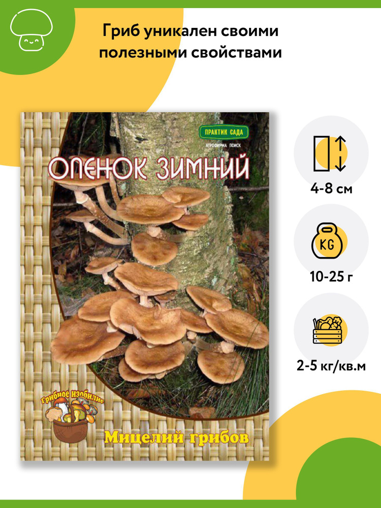 Гриб Опенок зимний (1 уп - 12 шт). Мицелий грибов. Агрохолдинг "Поиск"  #1
