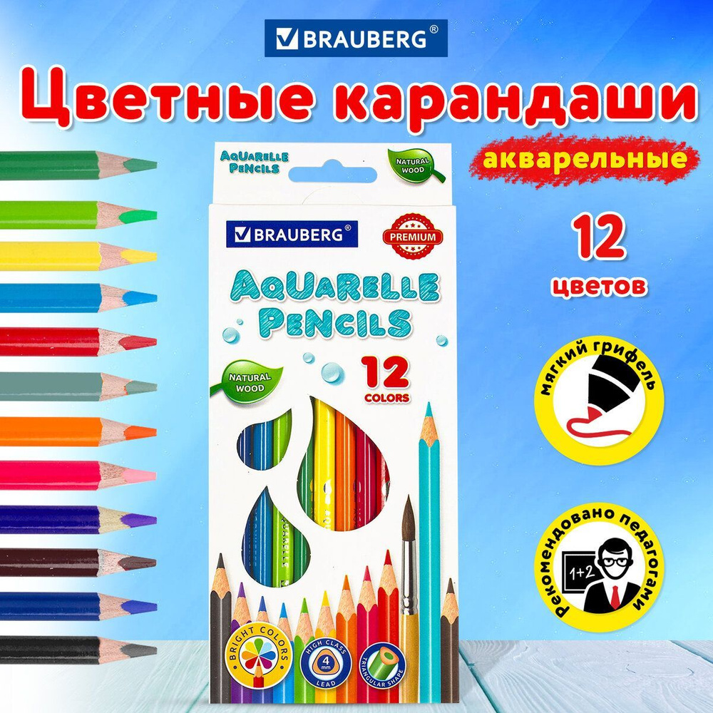 Карандаши цветные акварельные для рисования художественные Brauberg ...