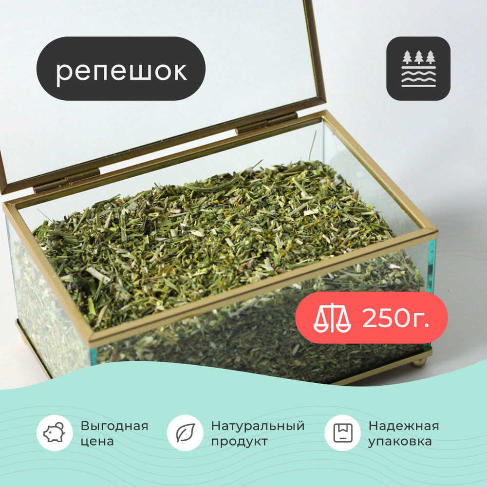 Репешок трава сушеная 250 грамм / для чая #1