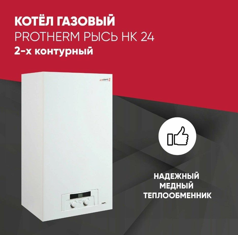 Газовый котел Protherm 24 кВт Рысь - купить по выгодной цене в  интернет-магазине OZON (1127341580)
