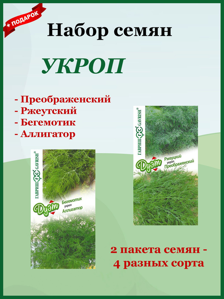 Семена Укропа 4 шт. Набор Аллигатор, Бегемотик, Преображенский, Ржеуцкий (Гавриш)  #1