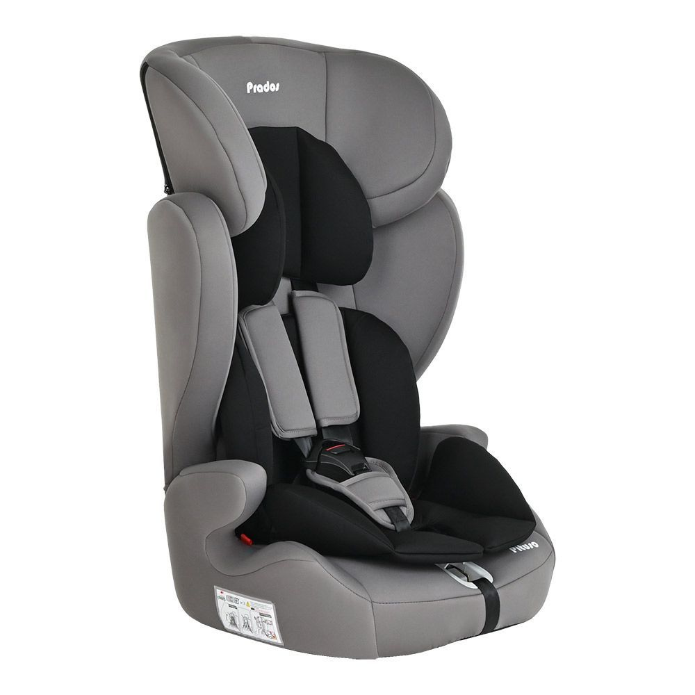 Pituso Автокресло группа 1/2/3 (9-36 кг) - купить с доставкой по ...