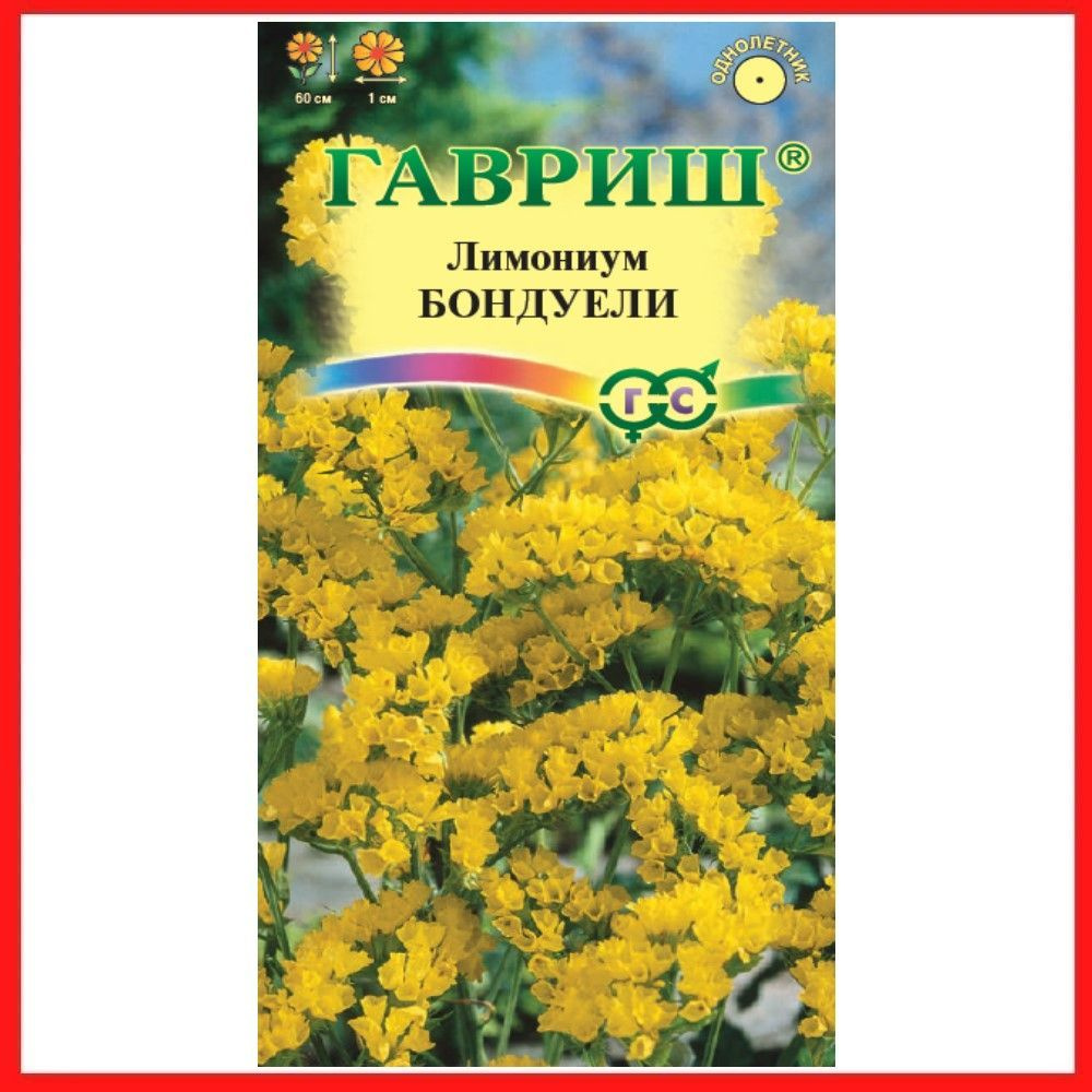 Семена Лимониум "Бондуели" 0,05 гр, Кермек выемчатый, однолетние травянистые растения для дома, дачи #1