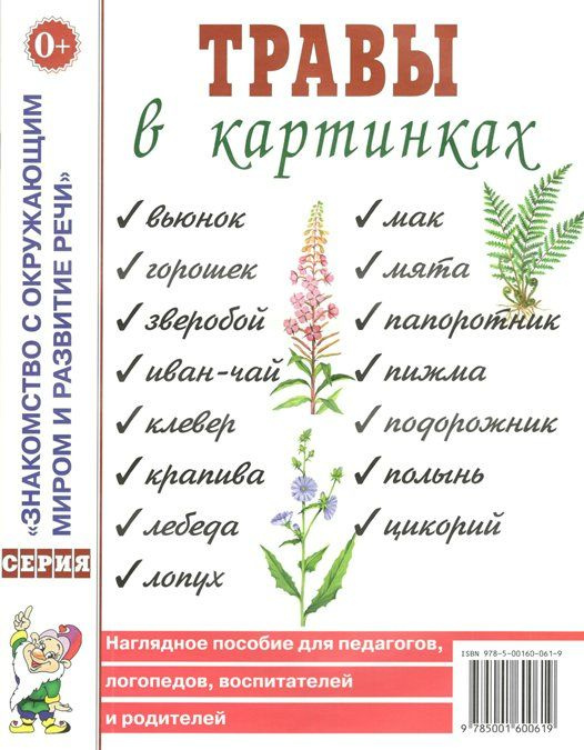 Набор обучающих карточек Гном и Д Знакомство с Окружающим Миром. Травы в картинках. 2022 год  #1