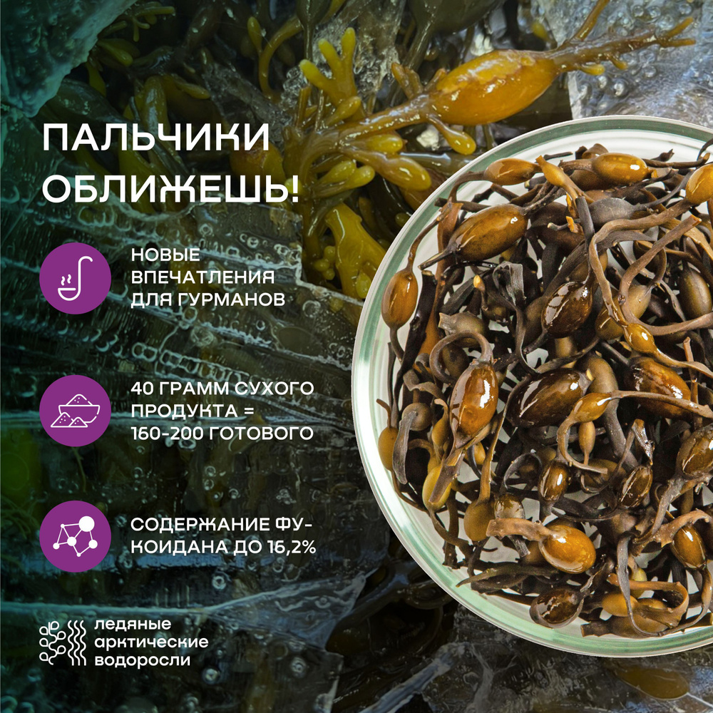 Архангельские морские водоросли сушеные, фукус цельный, необработанный, 1 кг. (йод витамины)  #1