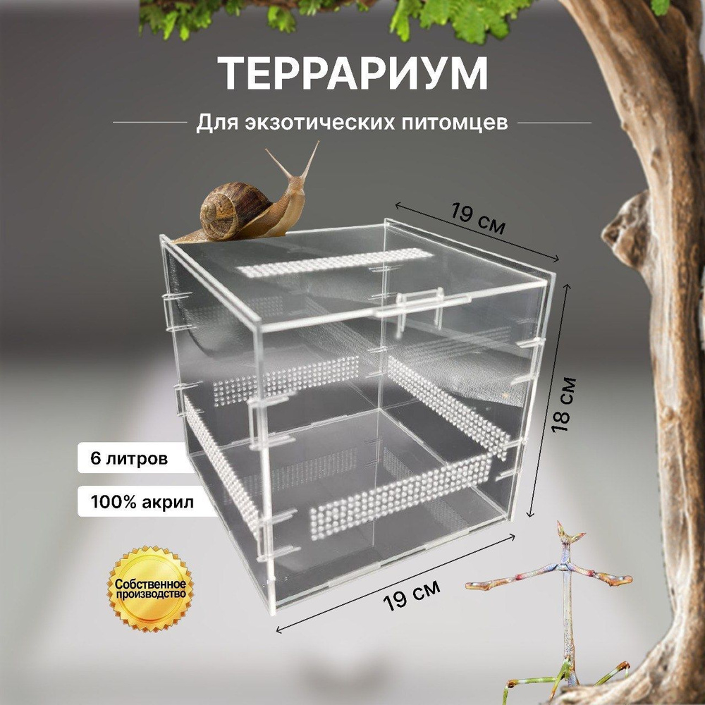 Террариум с крышкой для рептилий, пауков, улиток, богомолов, палочника ...