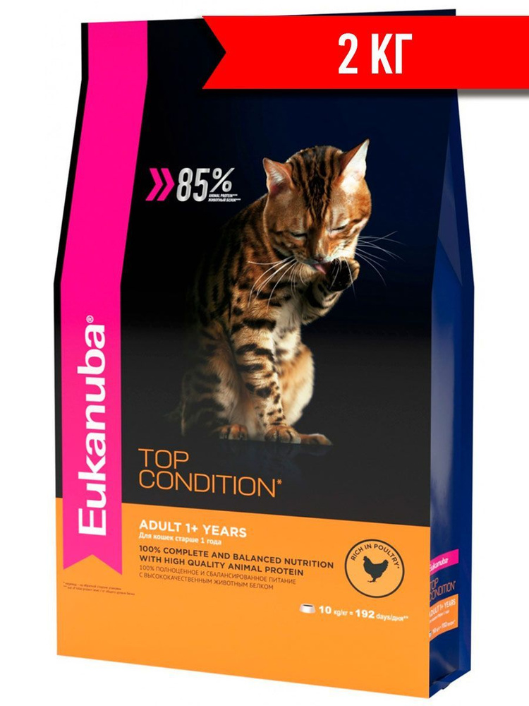 Сухой корм EUKANUBA ADULT TOP CONDITION для взрослых кошек с птицей (2 кг)  #1