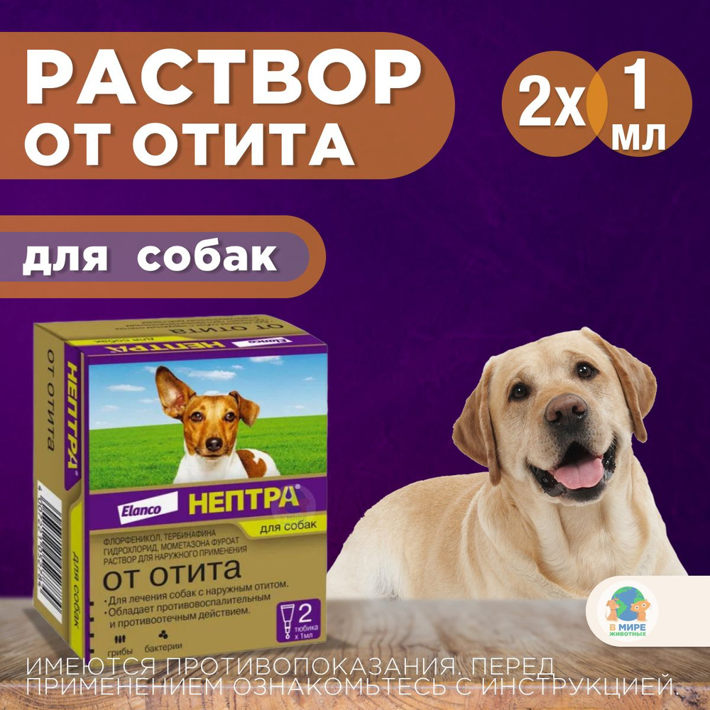 Elanco, Нептра раствор для лечения наружного отита у собак, 2 тюбика по 1  мл. Флорфеникол. - купить с доставкой по выгодным ценам в интернет-магазине  OZON (1290704384)