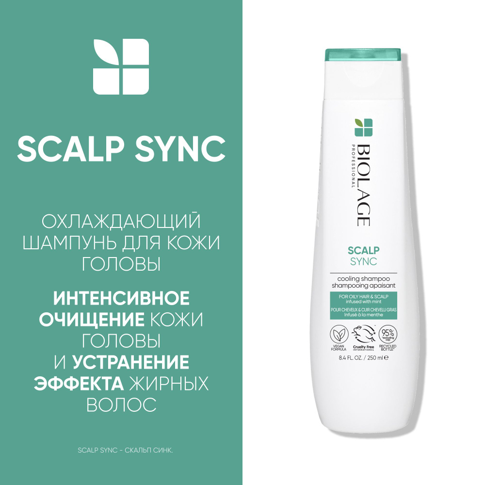 Biolage Scalp Sync Профессиональный шампунь для жирных и нормальных волос с  мятой, 250 мл - купить с доставкой по выгодным ценам в интернет-магазине  OZON (34749054)