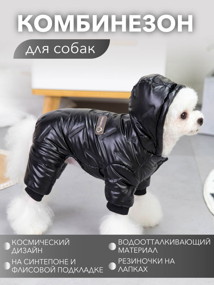 Одежда для животных #1