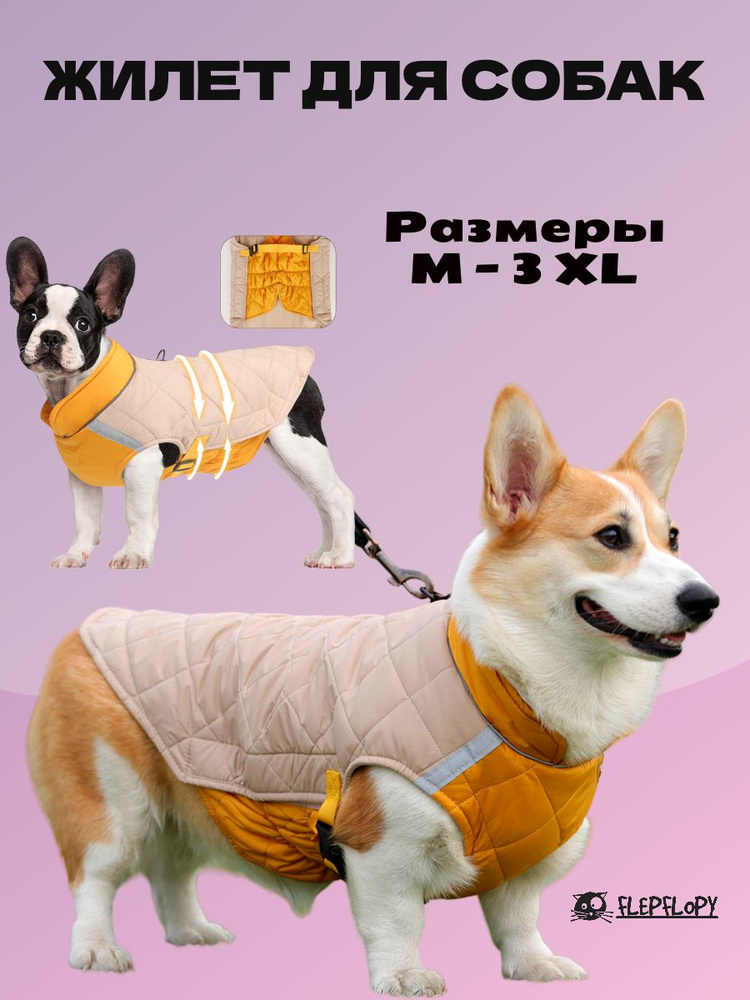Одежда для животных #1