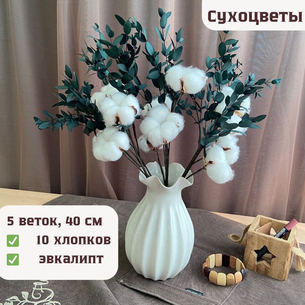 Сухоцветы Хлопок, Эвкалипт, 40 см, 100 гр, 5 шт купить по выгодной цене в  интернет-магазине OZON (696190062)