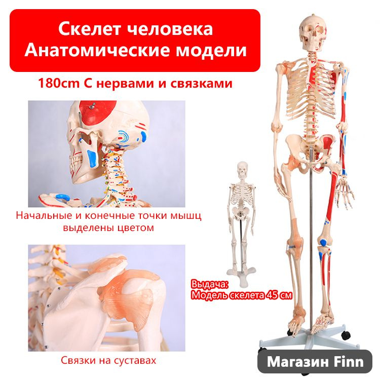 В восьми районах Курской области связь и интернет будут бесплатными до окончания ЧС | смайлсервис.рф