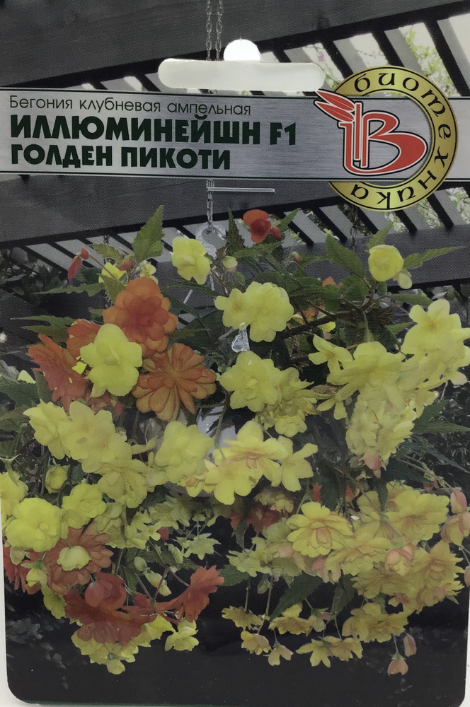 Биотехника Бегония клубневая ампельная Иллюминейшн F1 Голден Пикоти ...