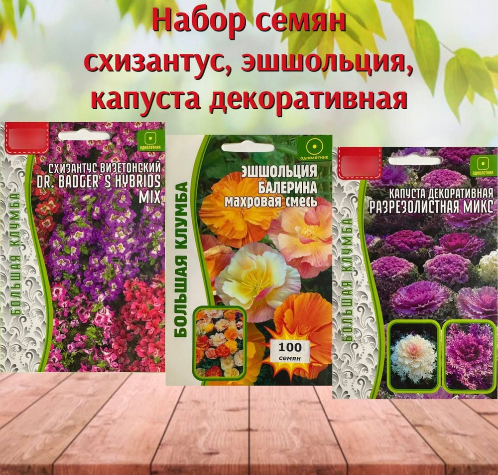 Семена ,3шт #1