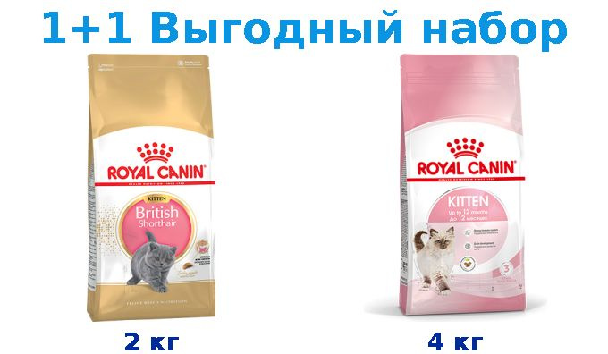 Сухой корм Котята, Royal Canin Breed cat Kitten British Shorthair 2 кг + Котята, Royal Canin Kitten 4 #1