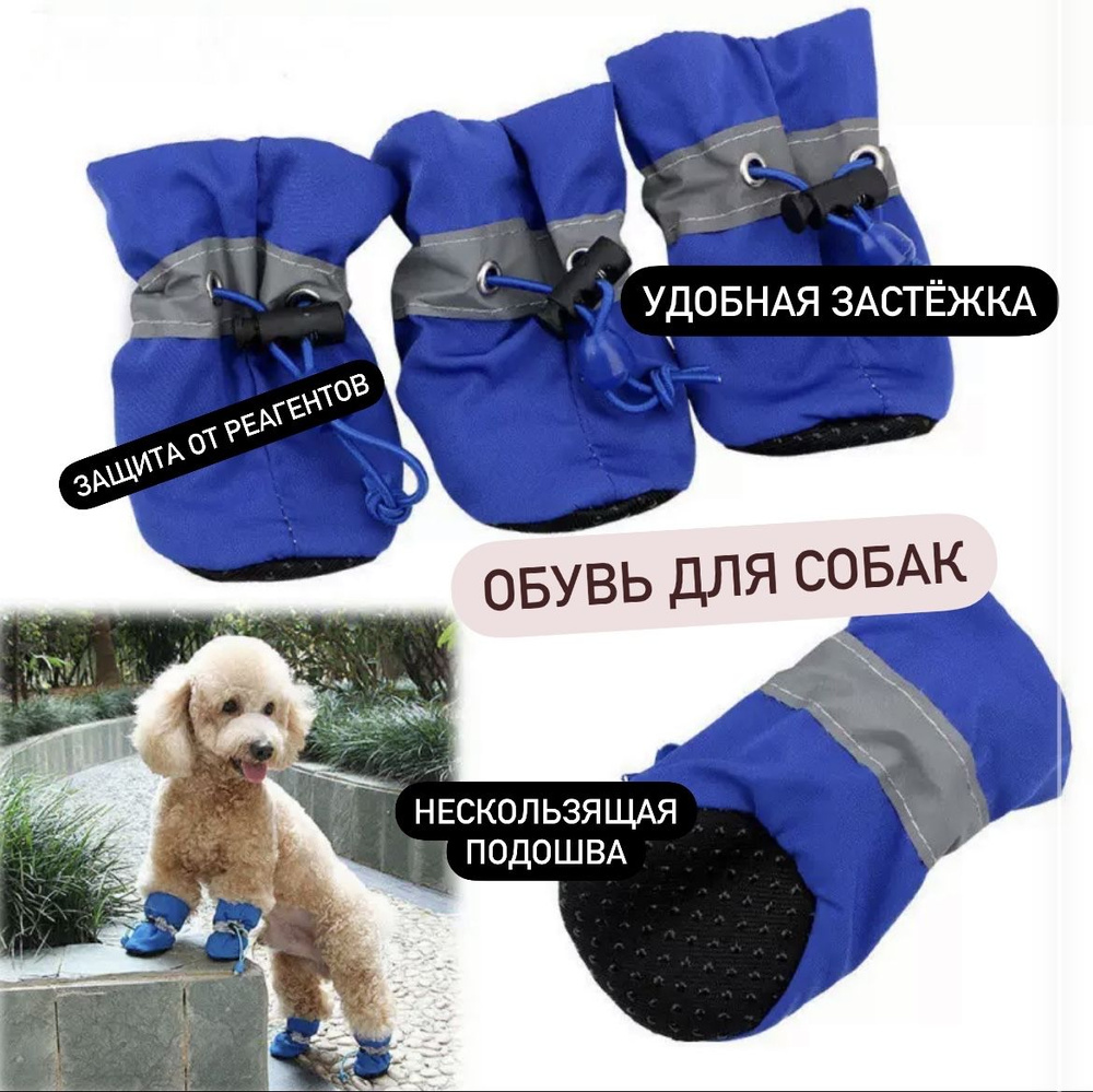 Обувь для собак - купить с доставкой по выгодным ценам в интернет ...