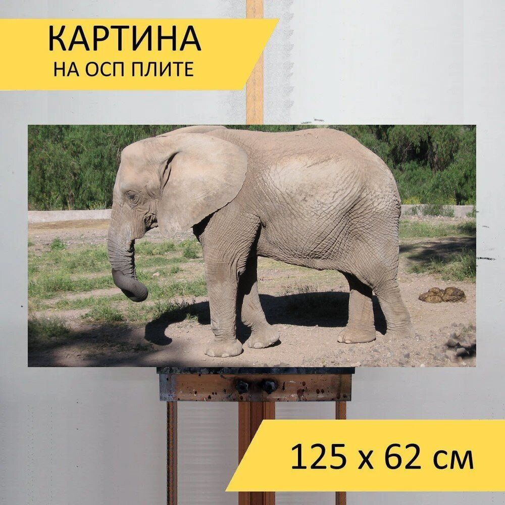LotsPrints Картина "Слон, зоопарк, животное 25", 125  х 62 см #1