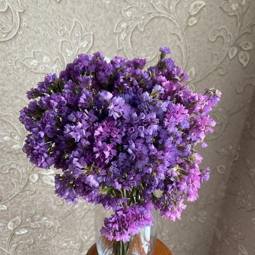 Сухоцветы Статица, 30 см, 30 гр купить на OZON по низкой цене (1403918848)