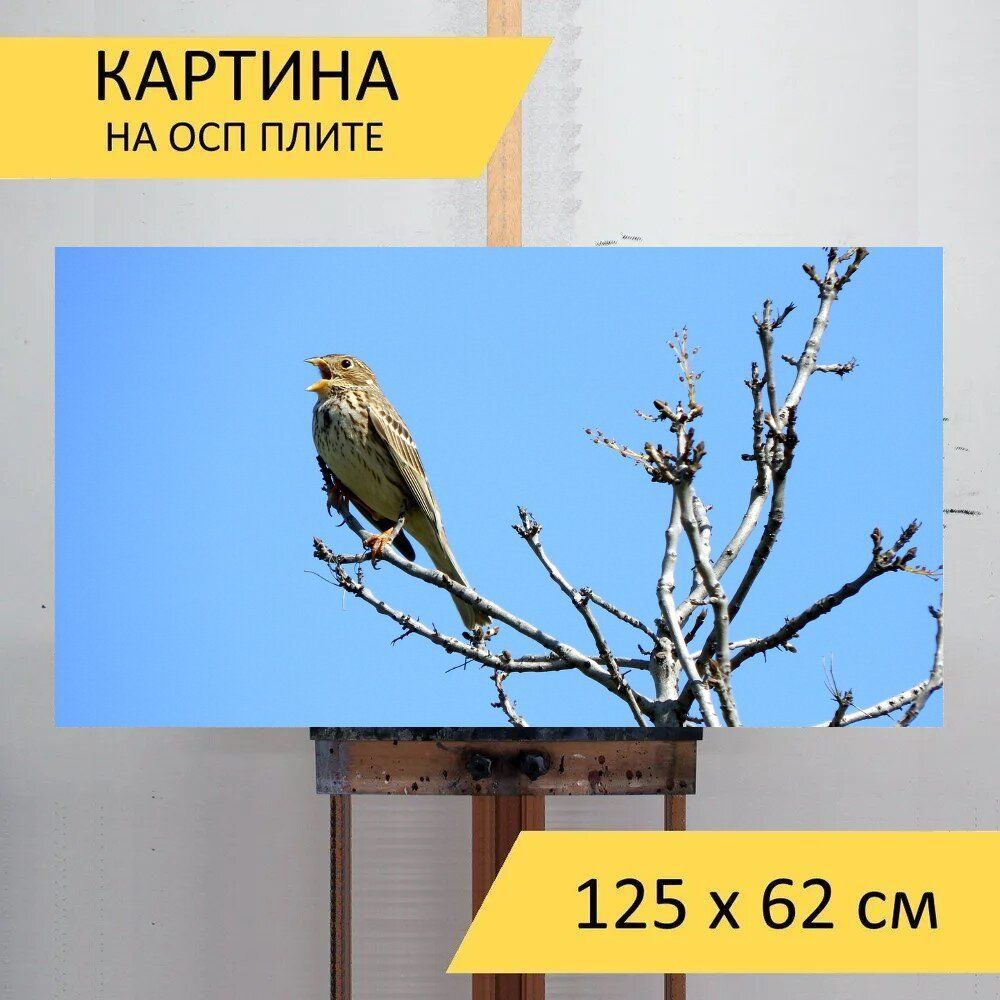 Картина птиц 