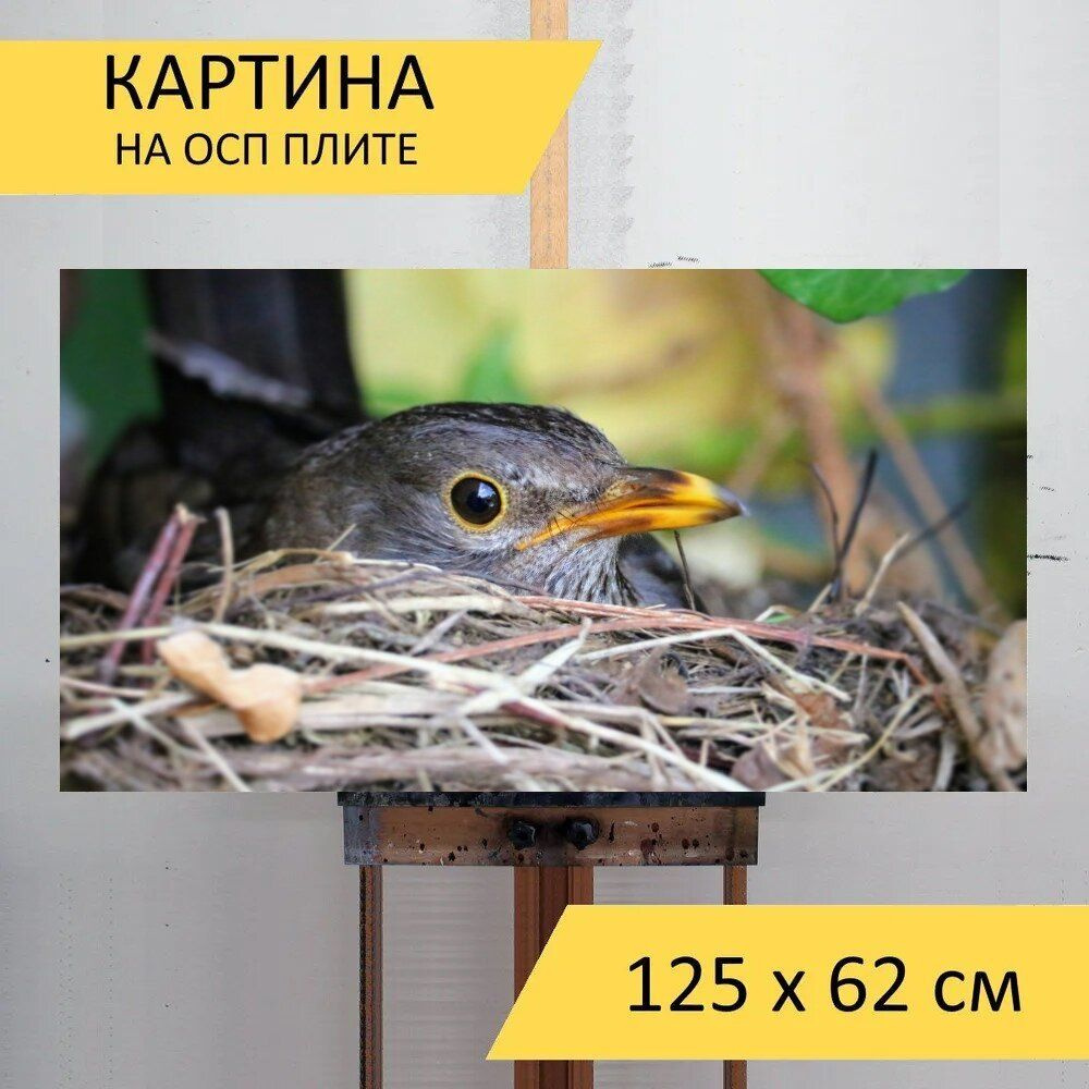 Картина птиц 