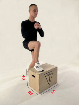 Ящик для запрыгивания 50-60-75 см (Бокс плиометрический для кроссфита).