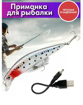 Электронная приманка для рыбалки