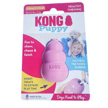 Kong puppy sales